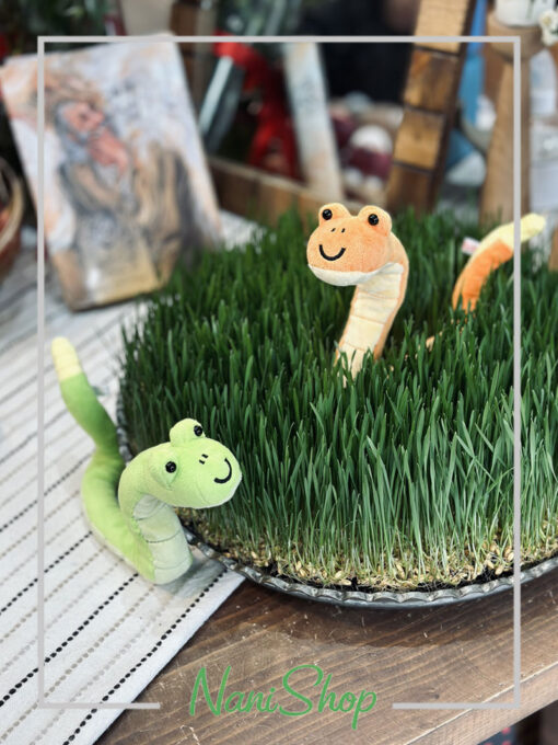 عروسک مخملی مار زنگی